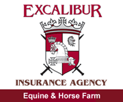 Excalibur Insurance