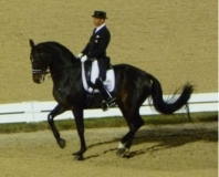 Steffen Peters Steffen Peters